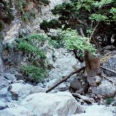  Samaria Gorge